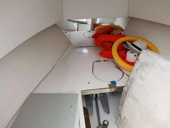 CHRIS CRAFT SEA HAWK 21 CRAFT SEA HAWK 21 usata in vendita