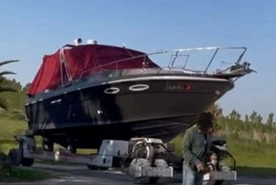 Sea Ray 270 AMBERJACK usado à venda