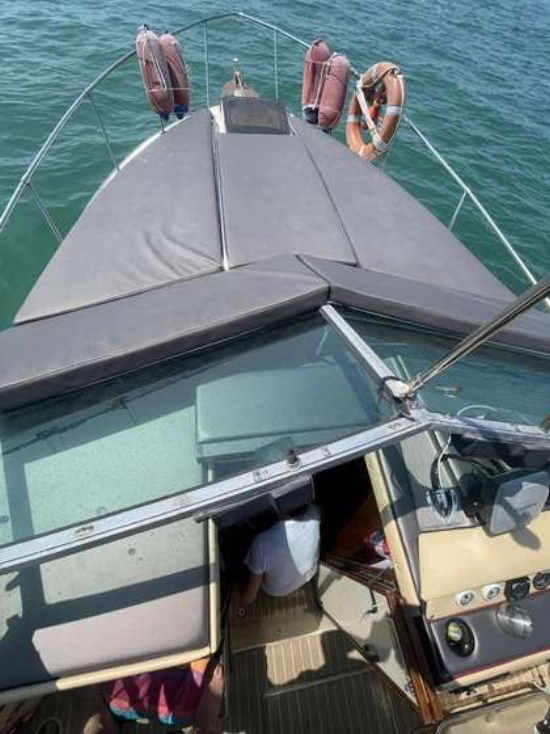 Sea Ray 270 AMBERJACK usado à venda