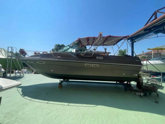 Sea Ray 270 AMBERJACK usado à venda