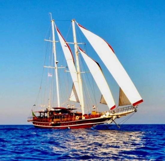 AEGAN YACHT SERVICE MOTOR SAILOR YACHT SERVICE MOTOR SAILOR usata in vendita