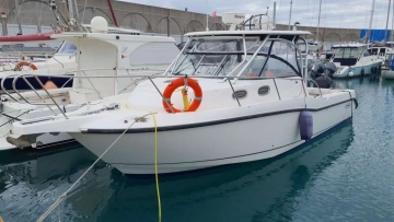Boston Whaler CONQUEST 305 de segunda mano en venta