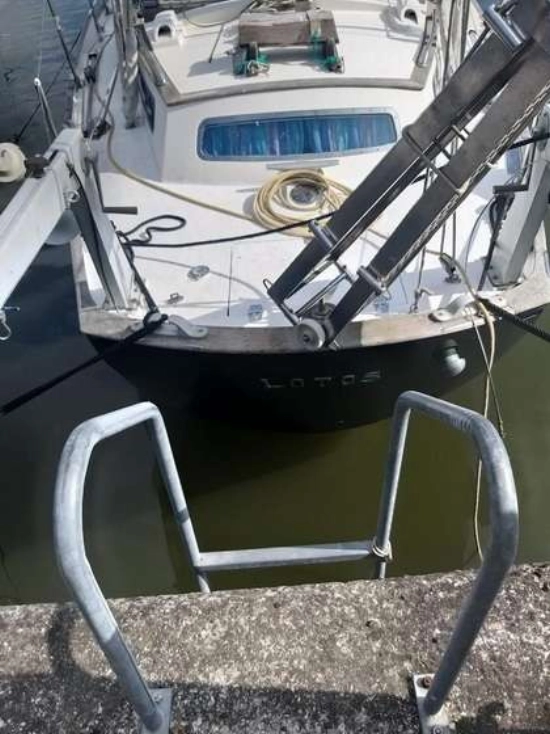 CAMPER & NICHOLSON 42 KETCH & NICHOLSON 42 KETCH de segunda mano en venta
