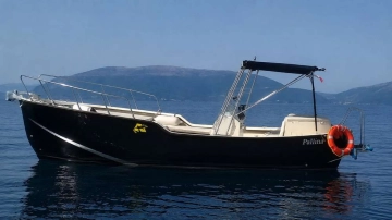 GECKO 730 FX 730 FX usata in vendita
