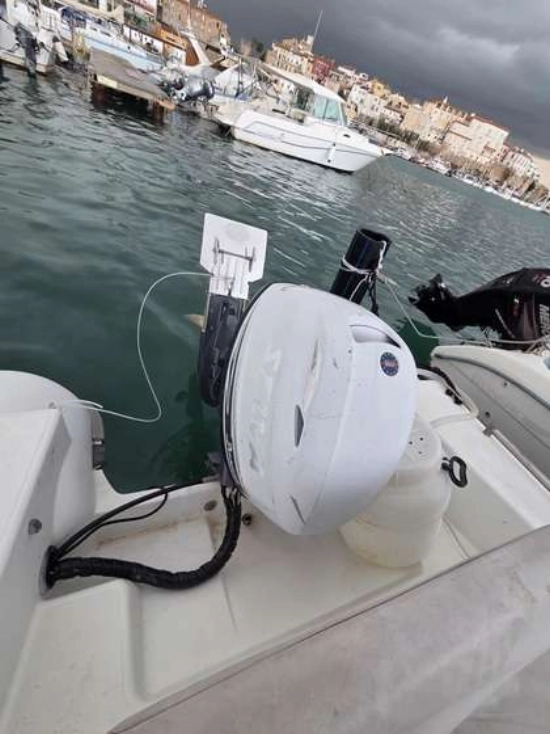 Custom 50 usata in vendita