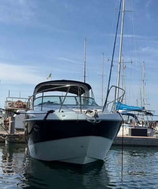 Bayliner 320 usata in vendita