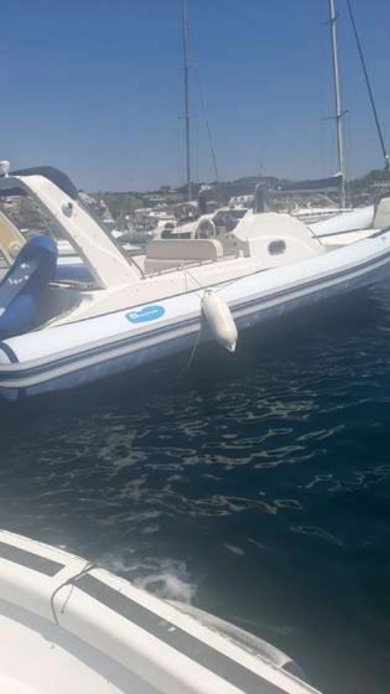Custom 29 usata in vendita