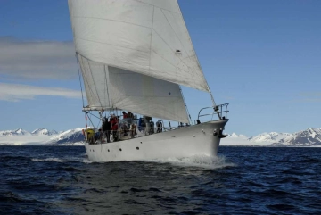 stephens marine 78 de segunda mano en venta