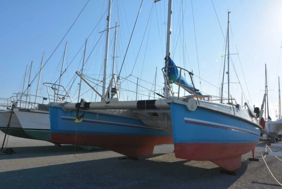 edelcat 35 de segunda mano en venta