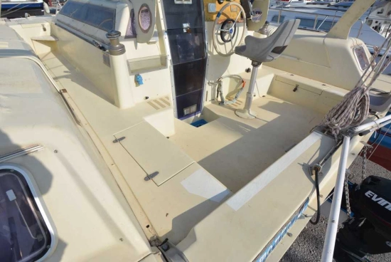 edelcat 35 de segunda mano en venta