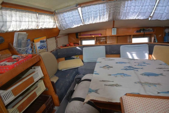 edelcat 35 de segunda mano en venta