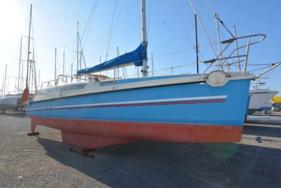 edelcat 35 de segunda mano en venta
