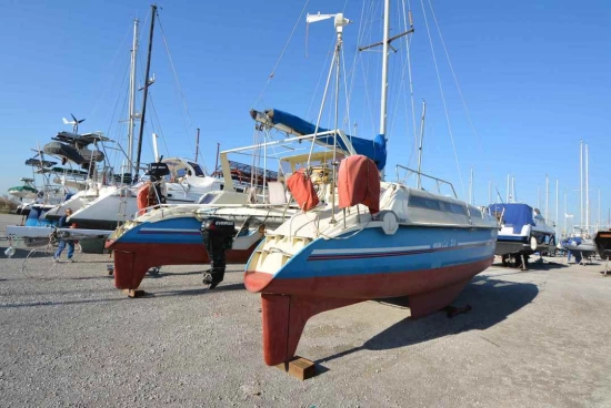 edelcat 35 de segunda mano en venta
