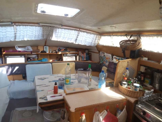 edelcat 35 de segunda mano en venta
