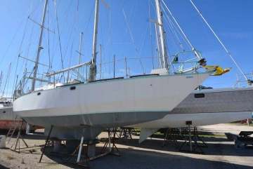 amateur kysmayo de segunda mano en venta
