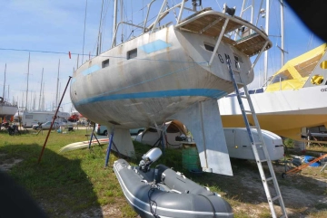 amateur reve des tropiques usata in vendita