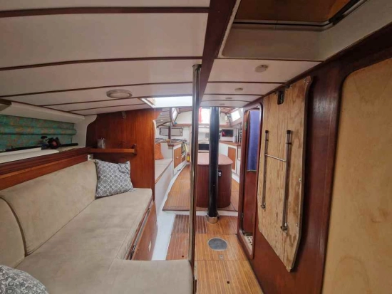 sciarelli scia 50 usata in vendita