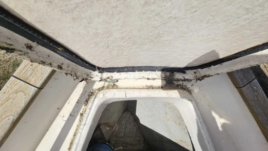 Hallberg Rassy ramus 35 de segunda mano en venta
