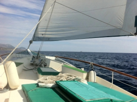 woodys eastwind 68 usado à venda