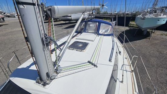 WRIGHTON BI LOUP 36 usata in vendita