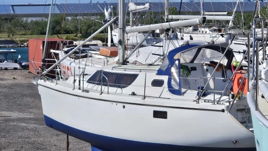 WRIGHTON BI LOUP 36 usata in vendita