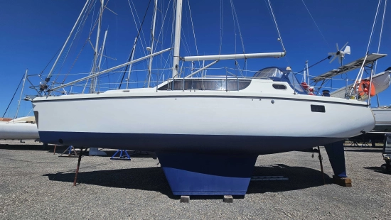 WRIGHTON BI LOUP 36 usata in vendita