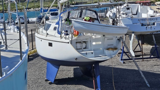 WRIGHTON BI LOUP 36 usata in vendita