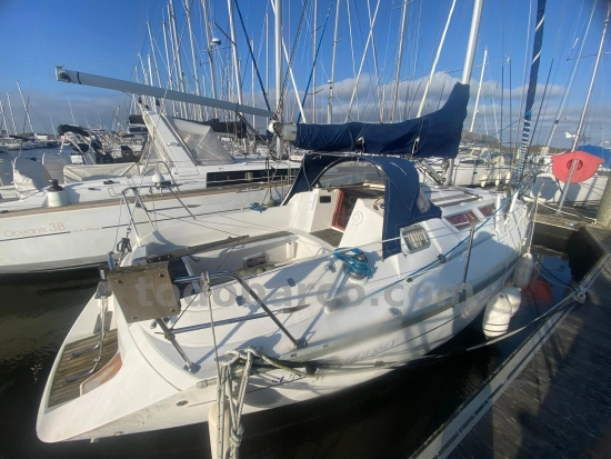 Jeanneau Sun Odyssey 31 usata in vendita