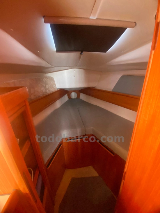 Jeanneau Sun Odyssey 31 usata in vendita