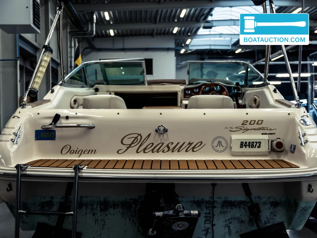 Sea Ray 200 Signature usata in vendita