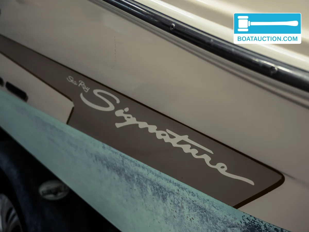 Sea Ray 200 Signature usata in vendita