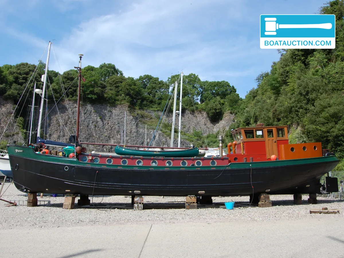 Woonboot 2025 de segunda mano en venta