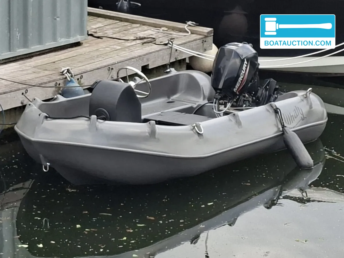 Whaly Boats 310 de segunda mano en venta