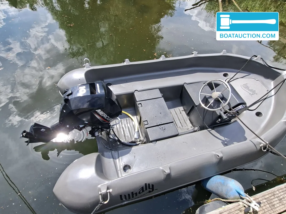 Whaly Boats 310 de segunda mano en venta