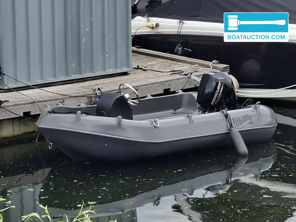 Whaly Boats 310 de segunda mano en venta