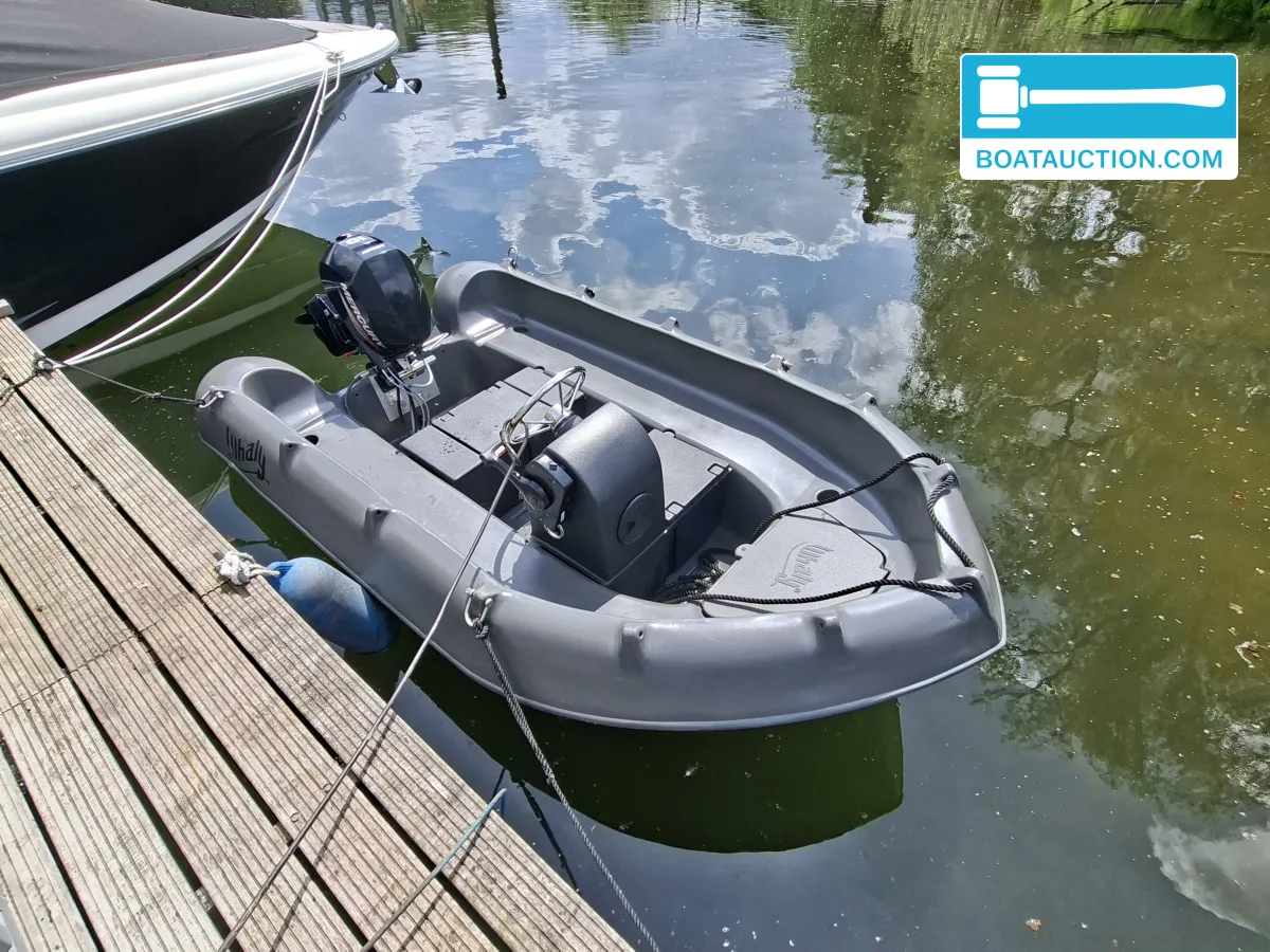 Whaly Boats 310 de segunda mano en venta