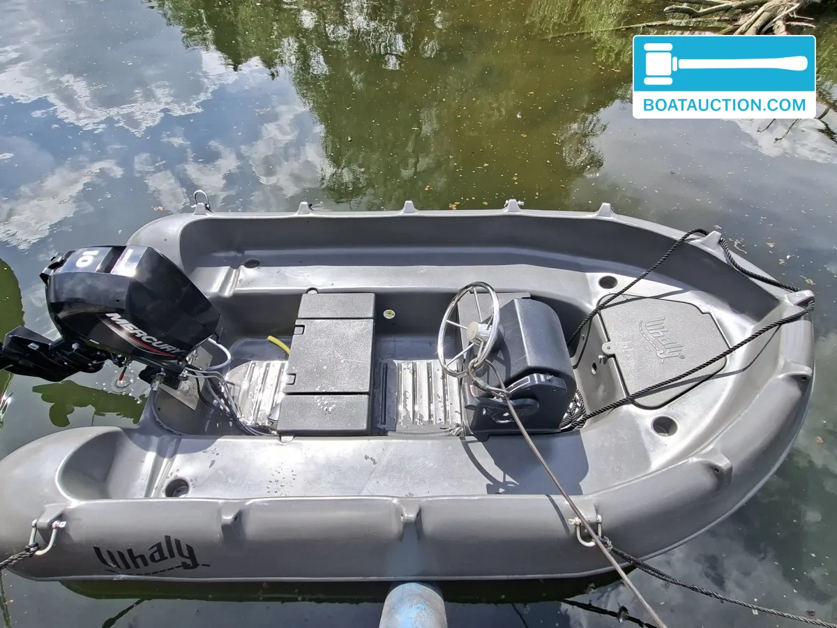 Whaly Boats 310 de segunda mano en venta