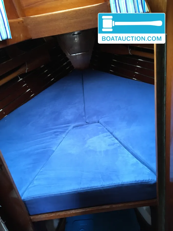 Trintella II de segunda mano en venta