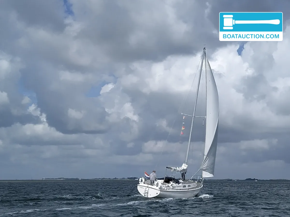 Westerly Discus 33 usata in vendita