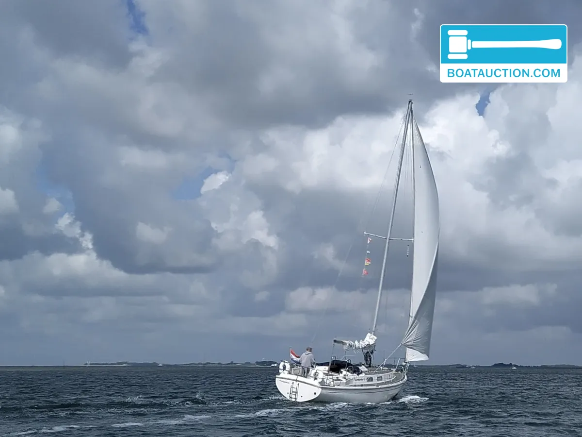 Westerly Discus 33 usata in vendita