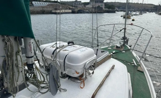 Westerly Berwick usata in vendita