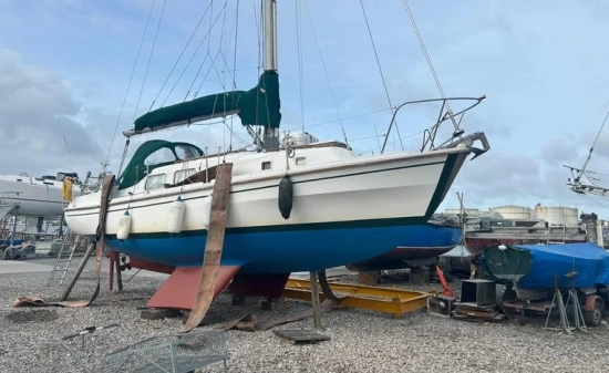Westerly Berwick usata in vendita