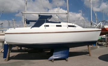 British Hunter Channel 245 usado à venda