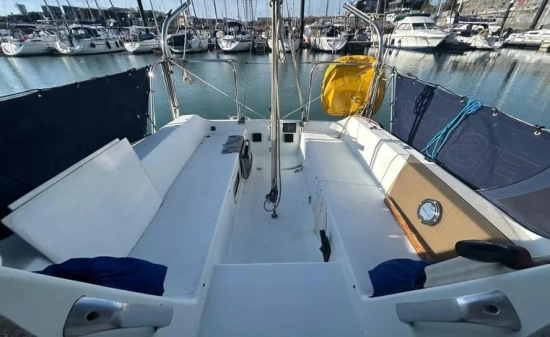 British Hunter Channel 245 usado à venda