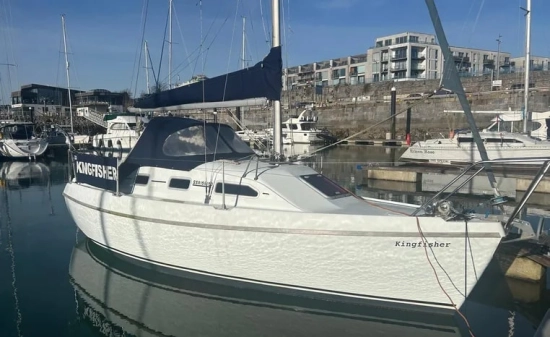 British Hunter Channel 245 usado à venda