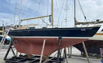 Contessa 26 usado à venda