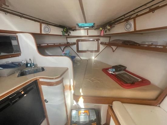 Apex Yachts Quepos 350 de segunda mano en venta