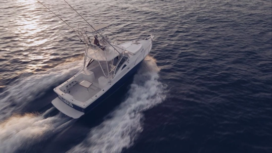 Apex Yachts Quepos 350 de segunda mano en venta
