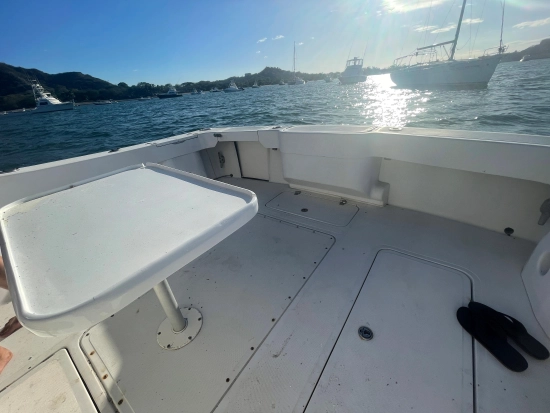 Apex Yachts Quepos 350 de segunda mano en venta