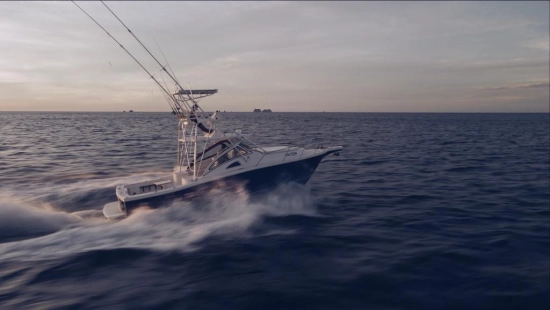 Apex Yachts Quepos 350 de segunda mano en venta